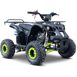 Quad na bencin WILDPEAK 110cc - zelen Cene