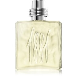 Cerruti 1881 Pour Homme toaletna voda za moške 100 ml Cene