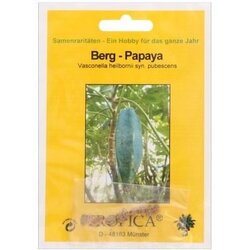 TROPICA Gorska papaja Cene