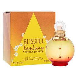 Britney Spears Fantasy Blissful toaletna voda 100 ml za ženske Cene