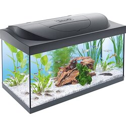 Tetra akvarijum start line led tank 54 l Cene