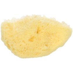 Koutouzis Natural Sea Sponges Prirodna spužva "Silk" - ca. 7.5 cm Cene