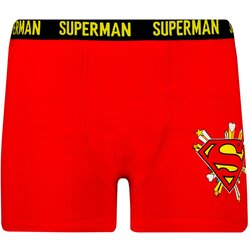Character Men's boxers Superman Love - Frogies Cijene