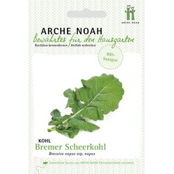 Arche Noah Ekološko zelje "Bremer Scheerkohl" Cene