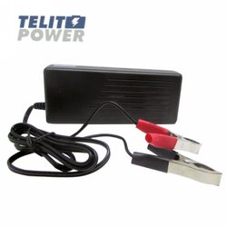 FOCUS POWER Punjač akumulatora A100-12 od 14.8V 4.8A sa klemama Cene