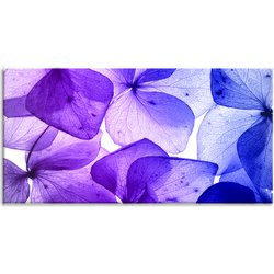 Pintdecor Zidni ukras Petali Cene