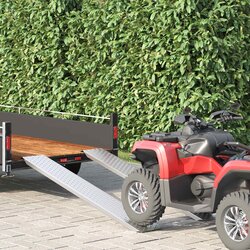 RAMP za utovar 200 kg Srebrno 159 x 23 x 5 cm Cinkani čelik Cene