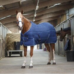 Riding World Prekrivač za konje štepano ćebe plavi 183cm Cene
