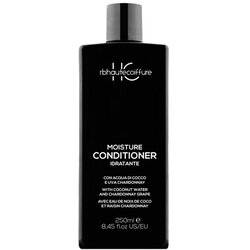 Renee Blanche Haute Coiffure Hidrtantni regenerator za kosu, 250 ml Cene
