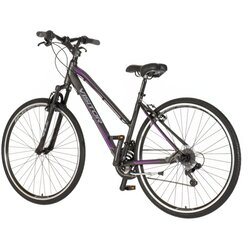 Visitor TRE286AMSP 28"/18" terra lady crno ljubi. sivi - gradski bicikli Cene