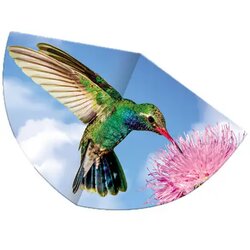 Günther Zmaj Kolibri Cene
