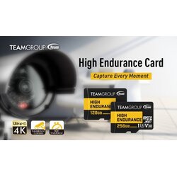 Team Group MICRO SDXC 256GB High Endurance UHS I U3 V30,100 50MB s, THUSDX256GIV3002 ZA VIDEO NADZOR! Cene
