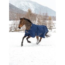 Bucas Pregrinjalo Irish Turnout 150, navy/gold - 155 cm Cene