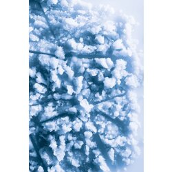 Collistar Special Perfect Body Talasso-Scrub piling za telo 700 g Cene