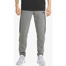 Puma Donji dio trenerke EVOSTRIPE CORE PANTS Cijene