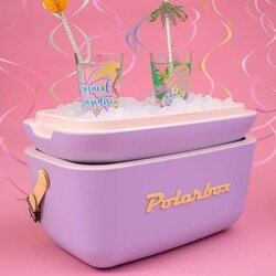 Polarbox Frižider Piknik Pop lila 20L Cene