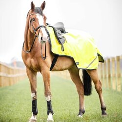 Busse Jahalno pregrinjalo SHINE 100, yellow (navy) - 135 cm Cene
