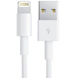 Alpha Star usb kabl /usb 2.0 (tip a -muški) -apple lightning( za iphone -muški) /dužina 2m/beli Cene
