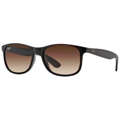Ray Ban Andy RB4202 607313 - ONE SIZE (55) Cene