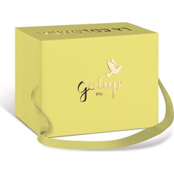 Galup Colomba z limono in marelico - 750 g Cene