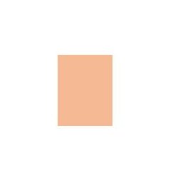 Artdeco Fluid Camouflage Foundation puder za vse tipe kože 20 ml odtenek 24 Warm/Golden Beige Cene