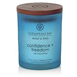 Chesapeake Bay Candle Mind & Body Confidence & Freedom mirisna svijeća 96 g Cene