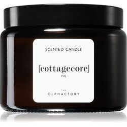 Ambientair The Olphactory Cannabis nadomestno polnilo za aroma difuzor 250 ml Cene