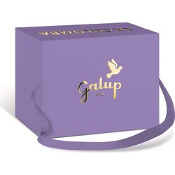 Galup Colomba z malinami in čokolado - 750 g Cene