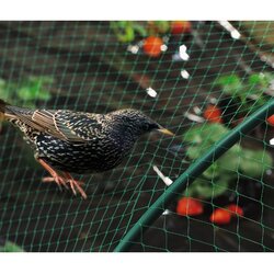 Nortene Mreža za zaščito pred pticami Birdnet (2 x 10 m, zelena) Cene