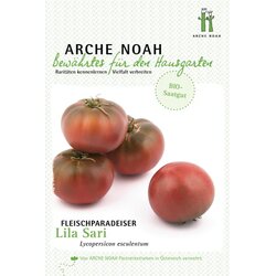 Arche Noah Ekološki mesnati paradižnik "Lila Sari" Cene
