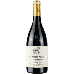 Domaine Robert Groffier Groffier Chambolle - Musigny Les Sentiers Cene