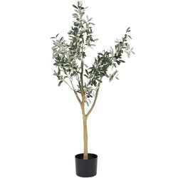 Ixia Umjetno drvo masline (visina 112 cm) Olive Tree – Cene