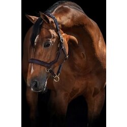 Horseware Ireland Oglavka Rambo Micklem "rjava" - WB Cene