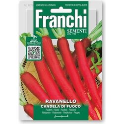 FRANCHI SEMENTI Redkvice "Candela di fuoco" Cene