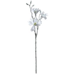  MAGNOLIJA 60CM BIJELA PALAZZO 041605 LEONARDO Cijene