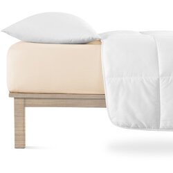 Andrea Simone Bež plahta s gumom od jerseya 180x200 cm Boxspring – Cene
