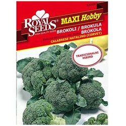 Brokula Corvet Maxi Royal Seeds Cene