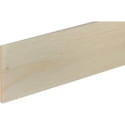 PROFILES AND MORE Lesena letev Profiles and more (d 1.000 x š 100 x v 8 mm, balsa) Cene