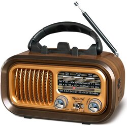 WIRELESS PLACE Prenosni solarni radio, Bluetooth Retro, podpora FM, TF, baterija in vtič, rjave barve, (5000117432) Cene