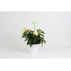 Venso LED svjetlo za biljaka SUNLiTE 24 V LED fiksno ugrađena 7 W neutralna bijela 1 St. Cene