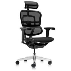 Ergohuman radna stolica - 400374 Cene