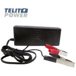 Focus Power A100-12 punjač akumulatora od 14.8V 4.8A sa klemama ( P-2262 ) Cene