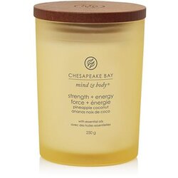 Chesapeake Bay Candle Mind & Body Strength & Energy mirisna svijeća 250 g Cene