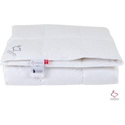 Ringsted Dun Celoletna prešita odeja s polnilom iz perja 200x220 cm The Ugly Duckling – Cene