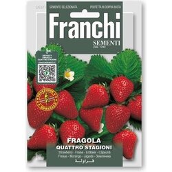 FRANCHI SEMENTI Jagode "Quattro Stagioni" Cene