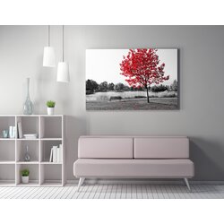 Opviq Slika na platnu 50x70cm Cijene