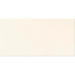 SERRA vanjske podne pločice europa bež 31x62 cm, 1. klasa, 1,54 m2 Cene