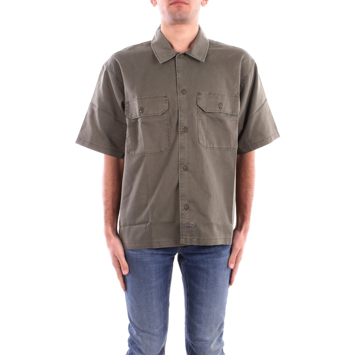 Dickies Srajce s kratkimi rokavi DK0A4Z7Q Zelena Cene