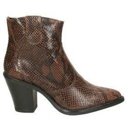Stilmoda Gležnjarji Botines 9708 moda joven marron Kostanjeva Cene