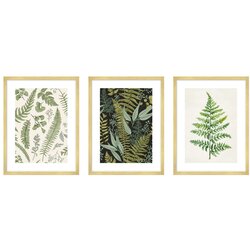 knor Plakati v kompletu 3 kos 30x40 cm Fern Cene